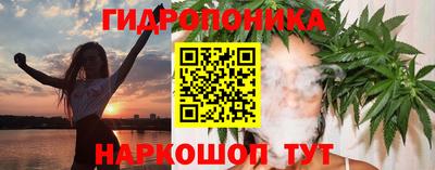 СК Гусев