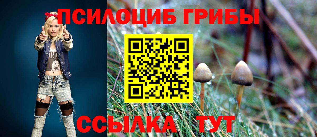 Галлюциногенные грибы GOLDEN TEACHER Пушкино