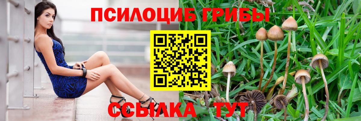 Галлюциногенные грибы прущие грибы  Галлюциногенные грибы мухоморы  Вход с VPN  цена   Пушкино 
